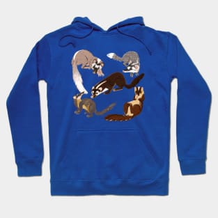 Ferret Badger Species Hoodie